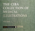 The Ciba Collection of Medical Illustrations. Volume 1. Nervous System. Von Frank H. Netter (1986)