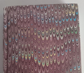 1000023133