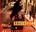 Traumfrau mit Nebenwirkungen. Von Amelie Fried (1996)