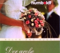 Der große Hochzeitsratgeber. Von Helen Ann Augst (2009)