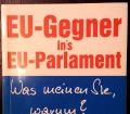 EU-Gegner ins EU-Parlament. Was meinen Sie, warum. Von Karl Niger und Johanna Grund (1996)